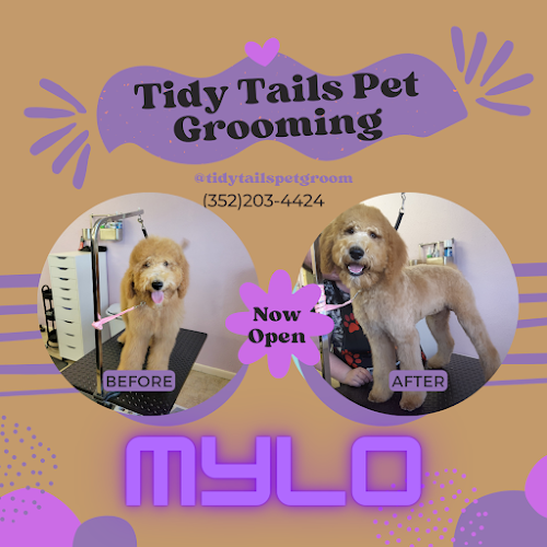 Tidy Tails Pet Grooming