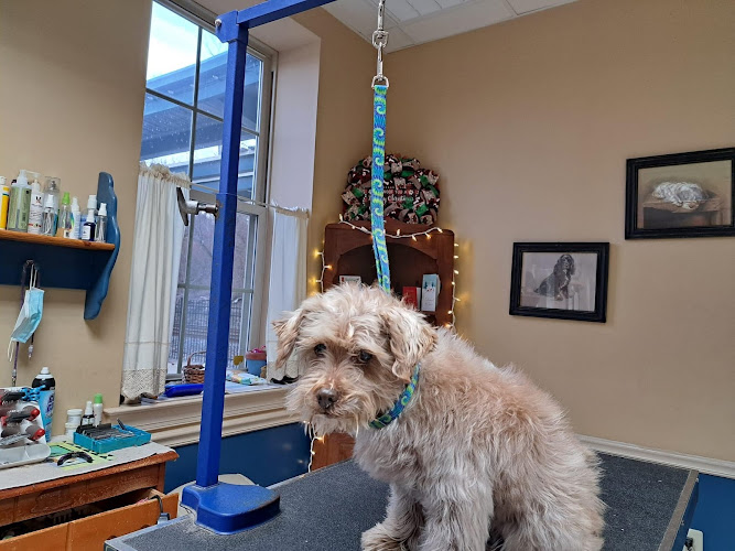 Tiffany's Grooming Salon