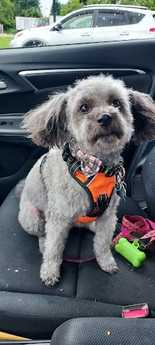 Tilly's Sit & Stay Spaw