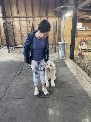 Timeless K9 Boarding And Training