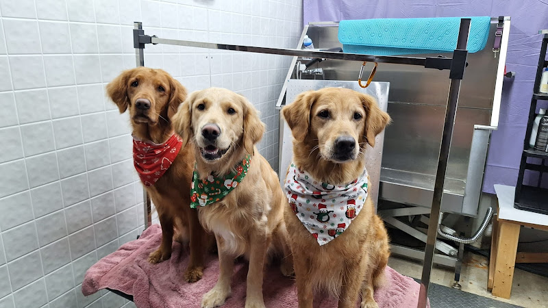 TLC Grooming LLC, Three Lakes Wi