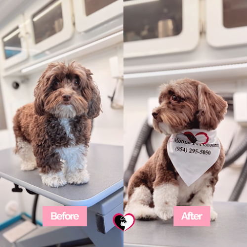 TLC Pet Care Services