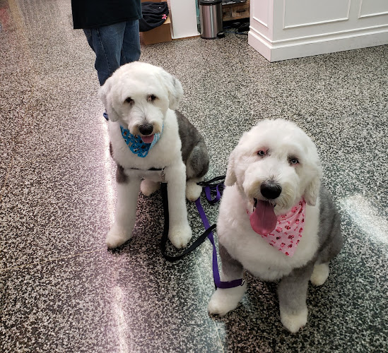 To Wag For - Boutique & Grooming