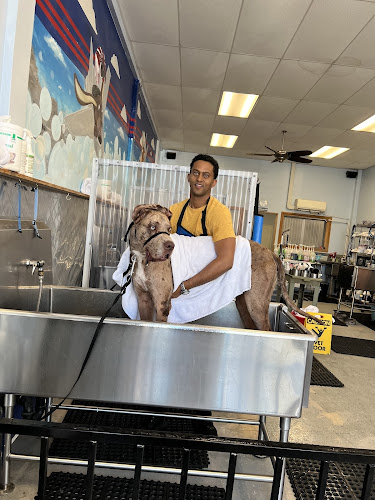 Top Dog Wash & Groom