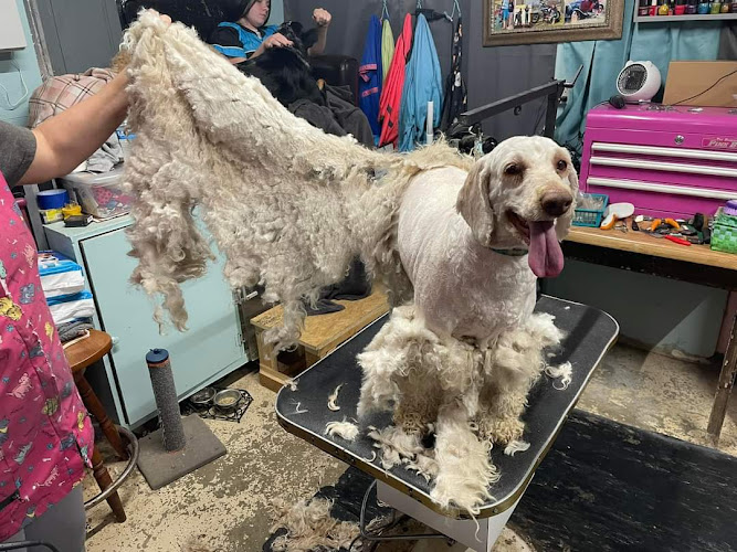 TopDog Grooming S'Paw