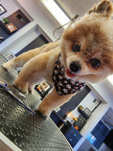 Totally Rufus Pet Grooming