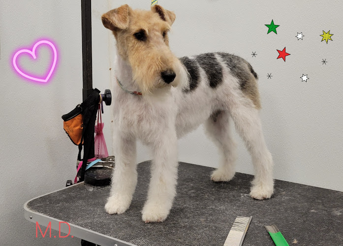 Towne House Grooming & Pet Supplies