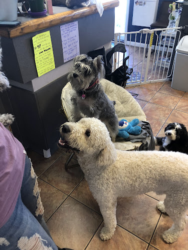 TransFURmations Pet Spa & Boarding