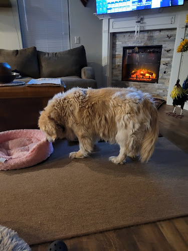 Trinity Grooming Services LLC