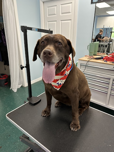 Tropic Paws - Sebastian, FL