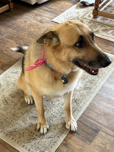 Tru North Pet Spa & Wellness