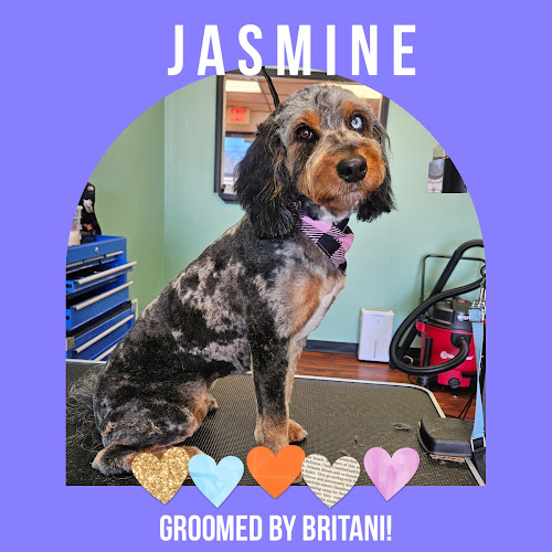 Twist & Snout Grooming Studio