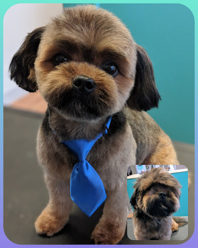 Two Mutts And A Poodle Pet Salon