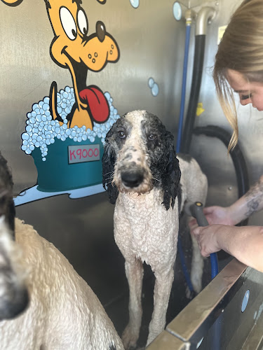 U Dirty Dog Pet Wash