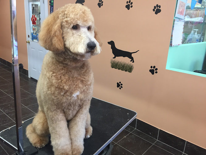 Universal Pet Care Grooming