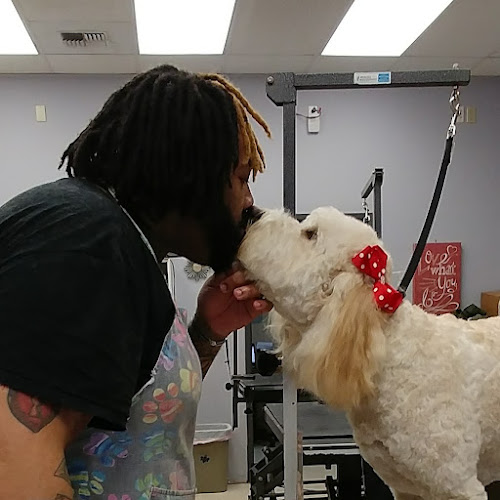 University Place Best Pet Grooming Inc