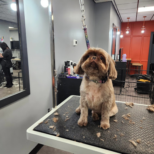 Unleashed Grooming Company