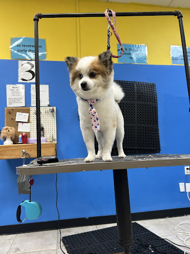 Unleashed Pet Grooming School