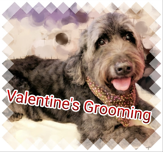 Valentine's Pet Grooming