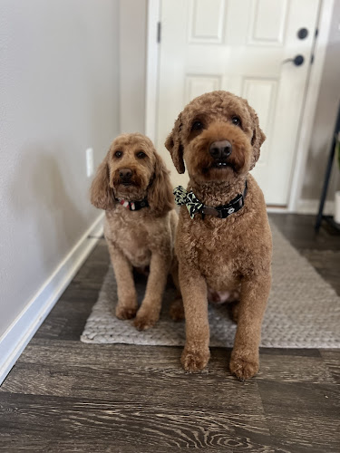 Vanity Fur by Justice