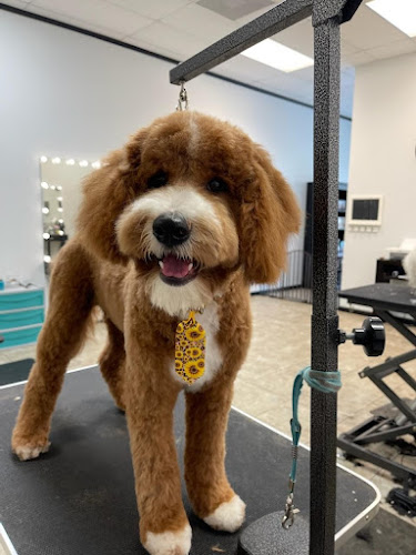 Vanity Fur Pet Spa & Grooming, LLC