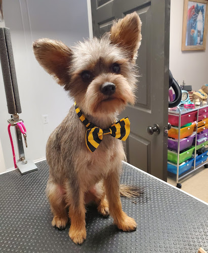 Vanity Furr Grooming