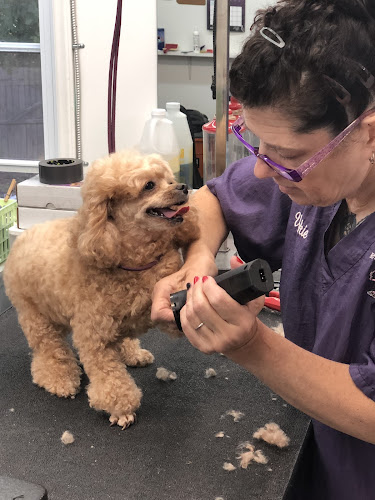 Vickie's Pampered Pet