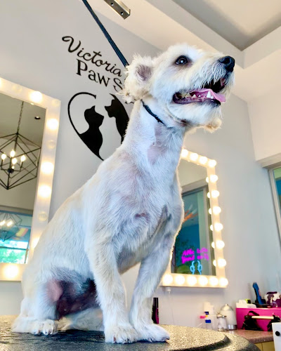 Victoria Park Paw Spa