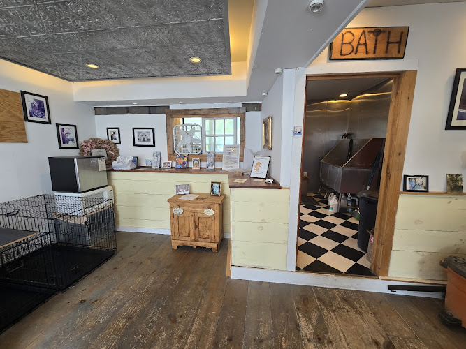 Village Dog Grooming