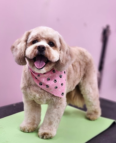 Vintage Country Pet Resort LLC