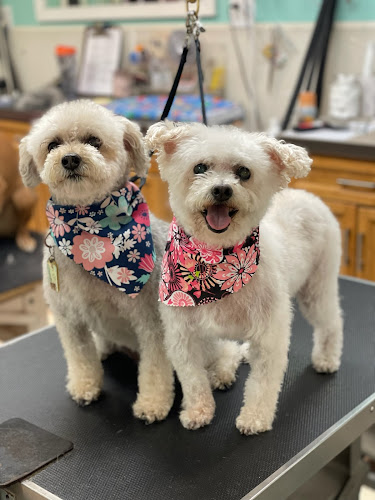 Wag 'N Tails Pet Resort