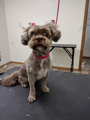 Wag'n Tails Pet Salon