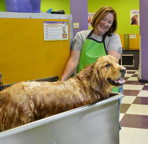 Wag N' Wash Natural Pet Food & Grooming