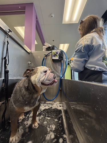 Wag N' Wash Natural Pet Food & Grooming