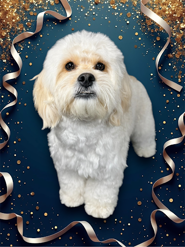 Wager Tails Pet Grooming LLC