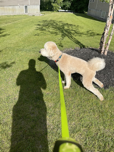 Waggin' Tails Grooming