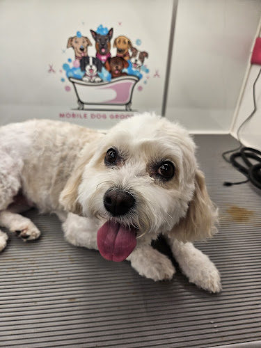 Waggin' Wheels mobile pet grooming