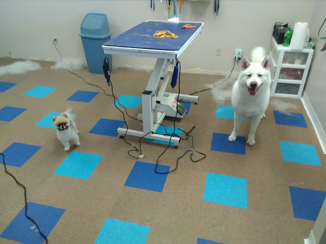 WagginTails Dog Grooming
