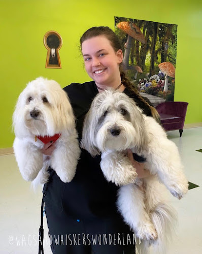 Wags and Whiskers Wonderland