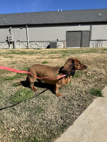 Wags To Riches Pet Grooming