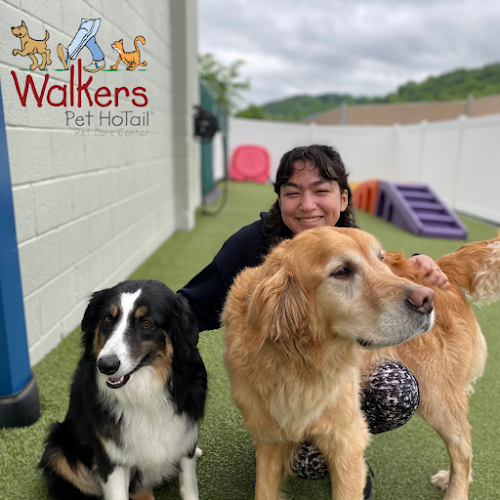Walkers Pet HoTail Pet Care Center