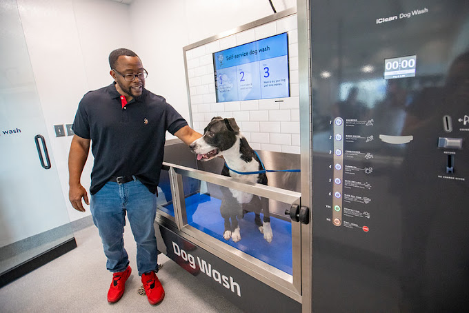 Walmart Pet Services