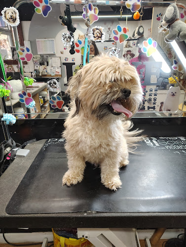 Wanda's Pet Grooming