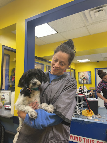 Wash N' Wiggle Pet Services Center