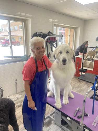 Wash Wag Dog Wash & Grooming
