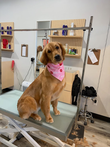 Well Groomed Pets - Chandler