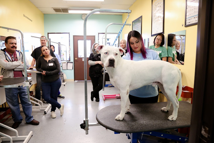 West Coast Grooming Academy