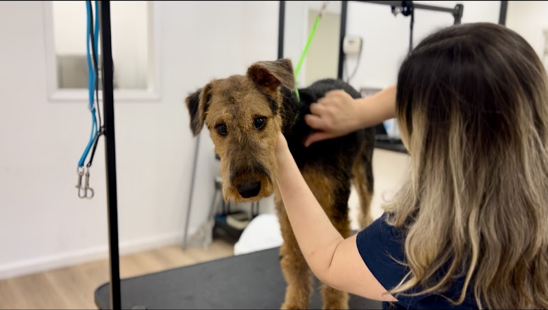 WET PAWS GROOMING STUDIO