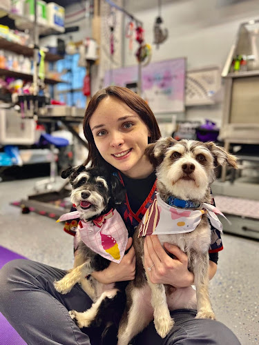 Whiskers & Wags Pet Grooming