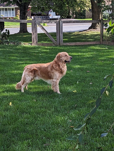 Whispering Whiskers Pet Spa